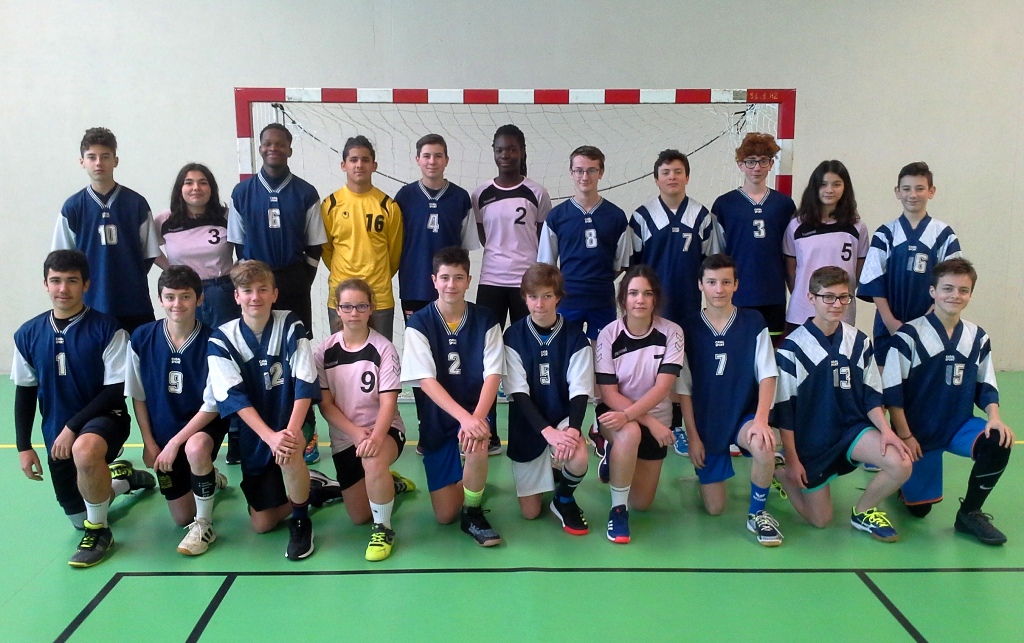 Section Handball