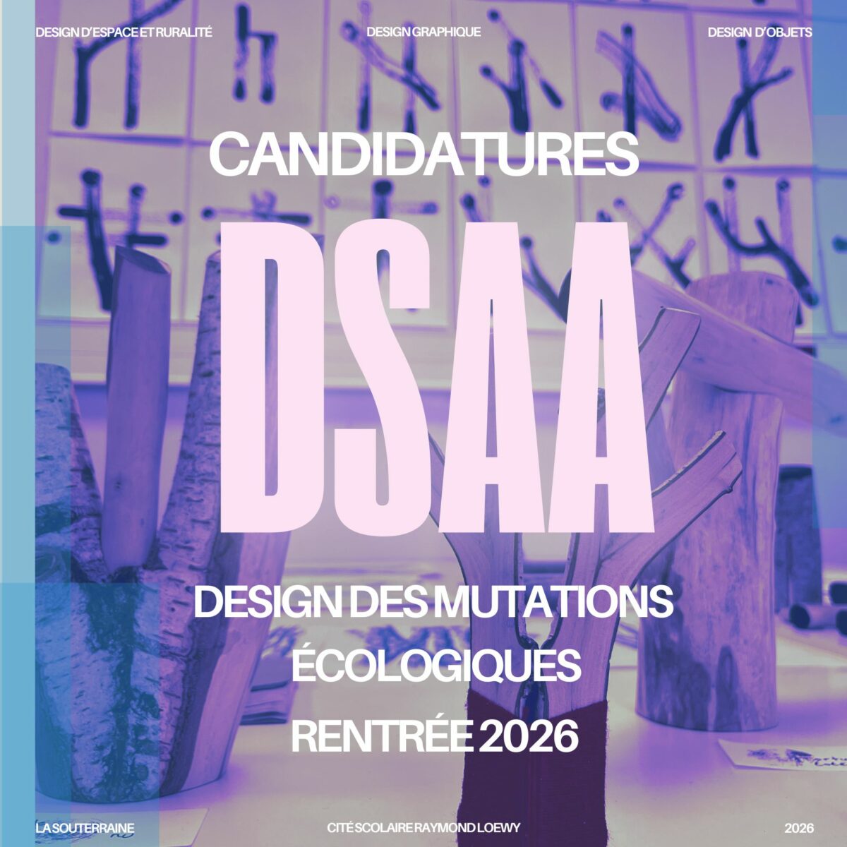 CANDIDATURES DSAA 2026